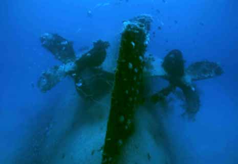 Death of A Grim Reaper