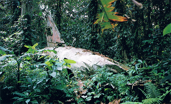 シンボリルドルフ AVANTI Pacific Wrecks - G4M1 Model 11 Betty Manufacture Number 2656