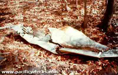 Click For Enlargement