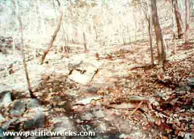 Click For Enlargement