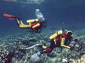 Divers